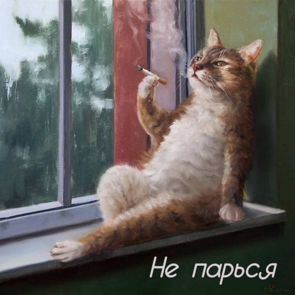   :  