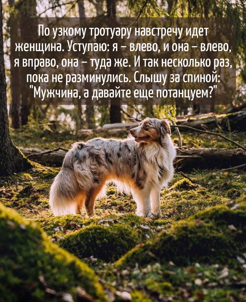,    ?