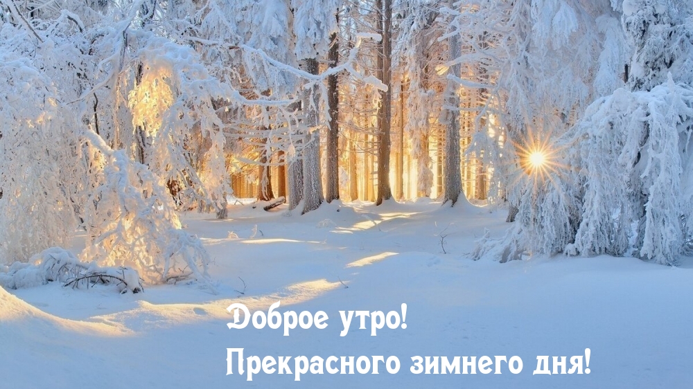 Доброе утро! Прекрасного зимнего дня!