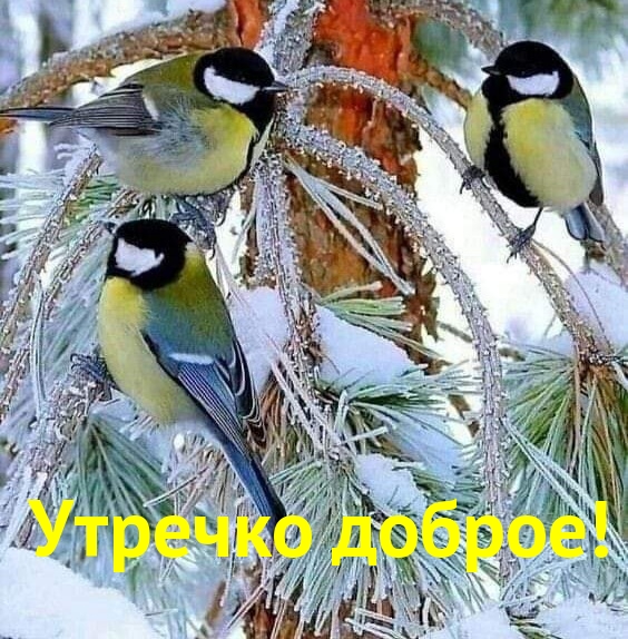   :  !
