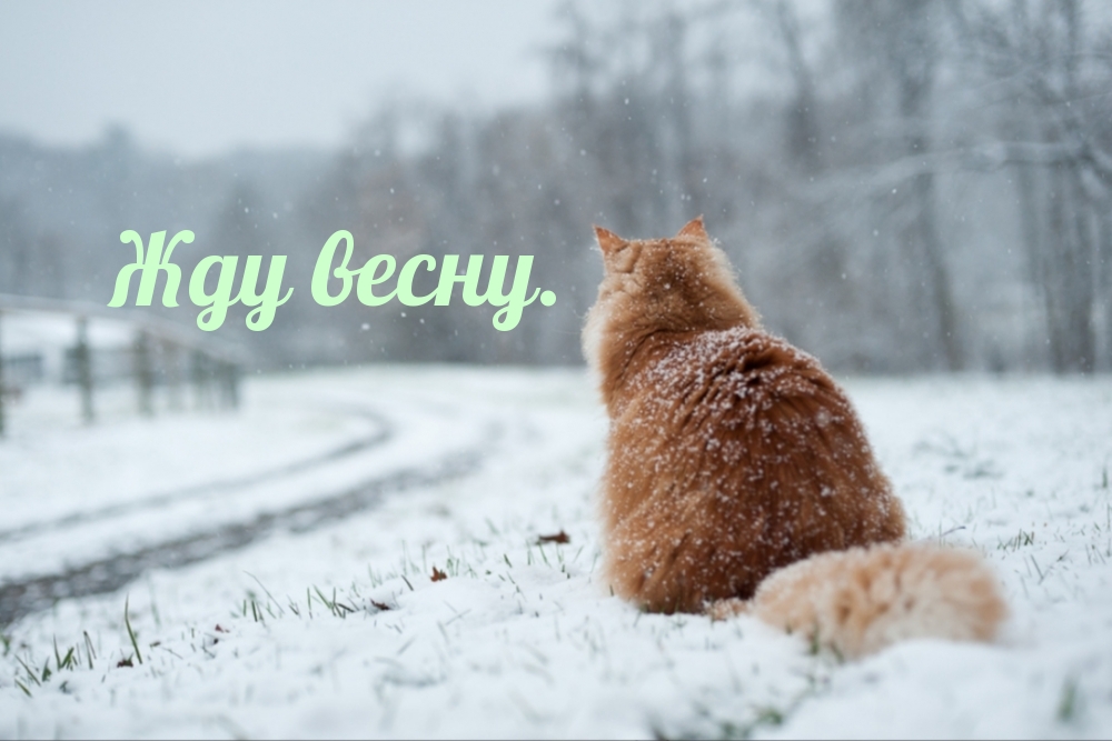 Жду весну.