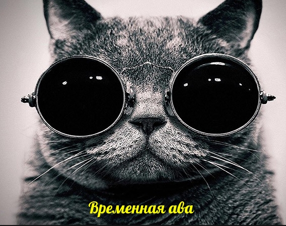   :  