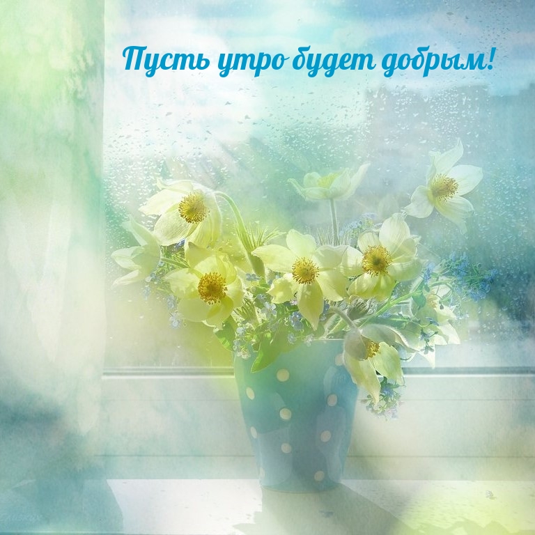 Пусть утро будет добрым!