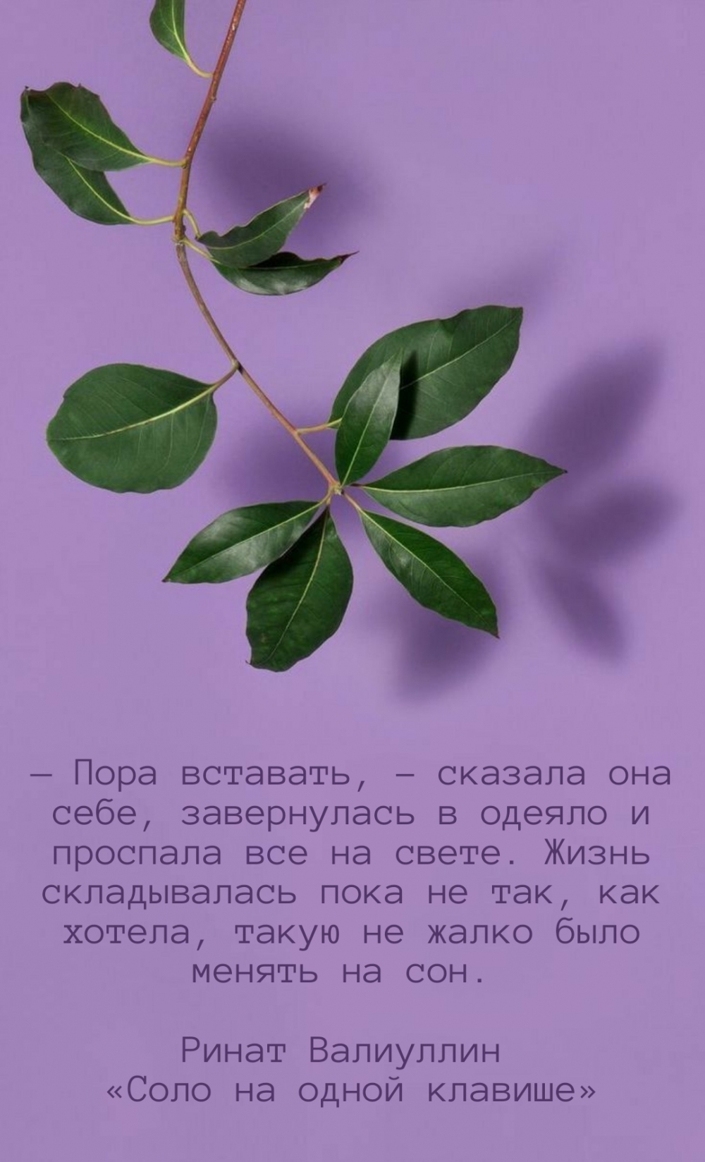  , -  ,      