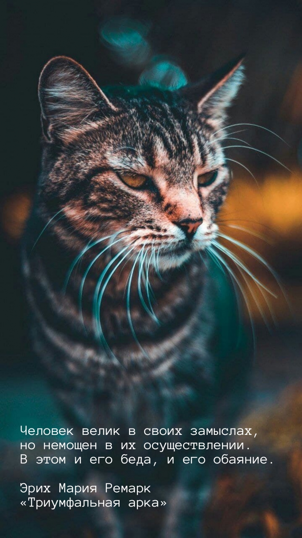     ,     . 