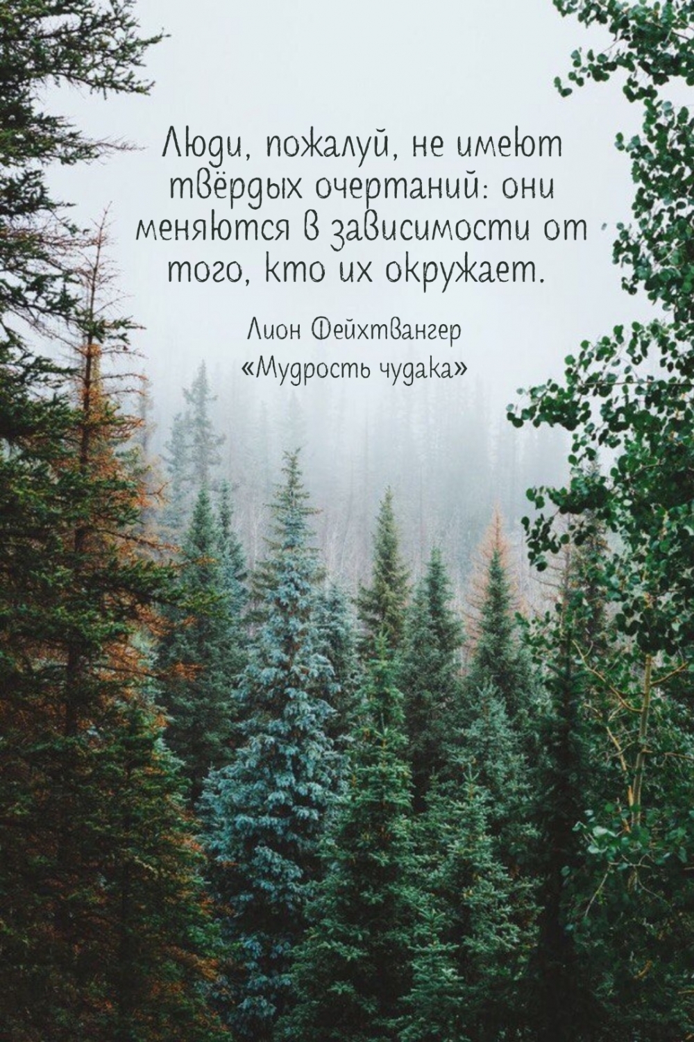      ,   . 