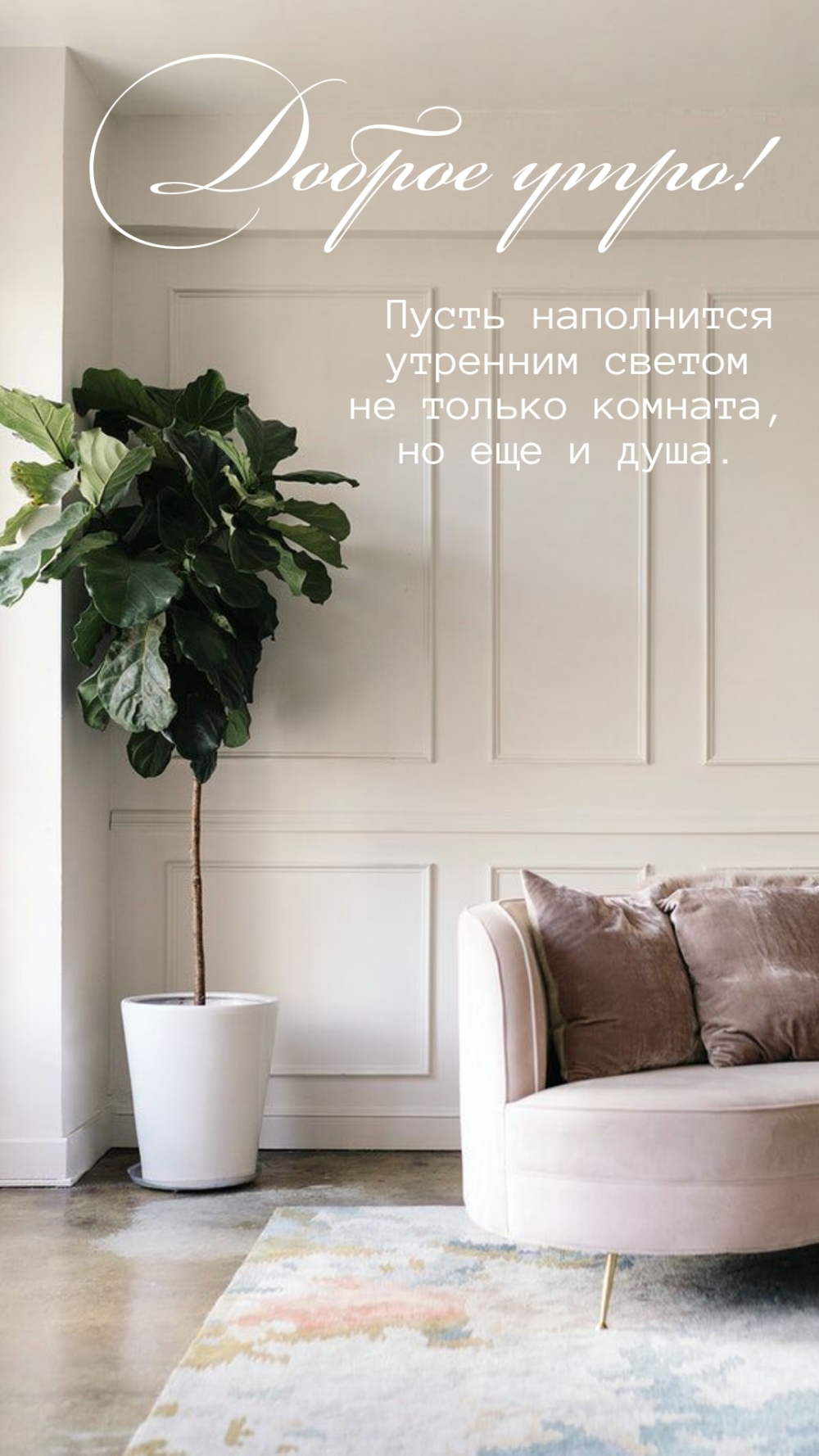 Доброе утро! Пусть душа наполнится утренним светом