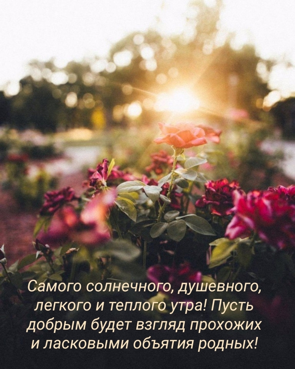  , ,   !