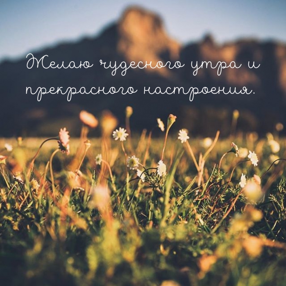 Желаю чудесного утра и прекрасного настроения.