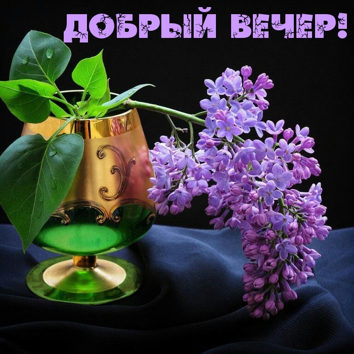  !.