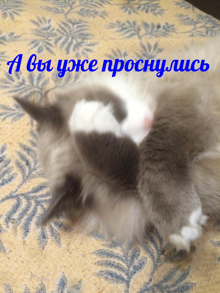   :    
