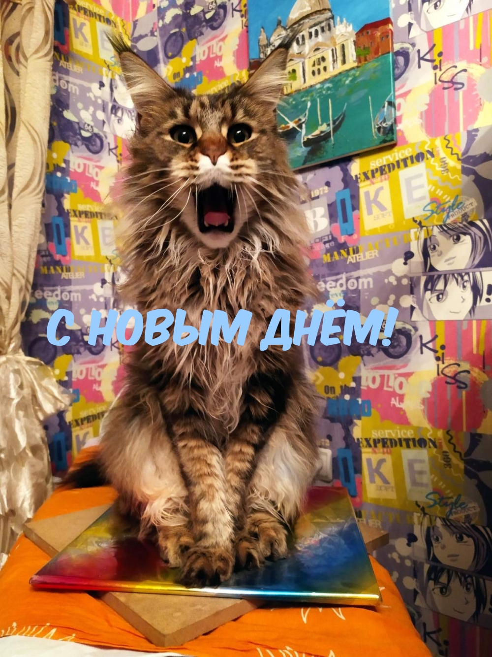   :   !