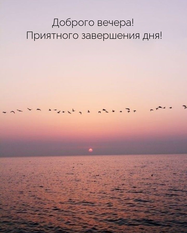  !   !.