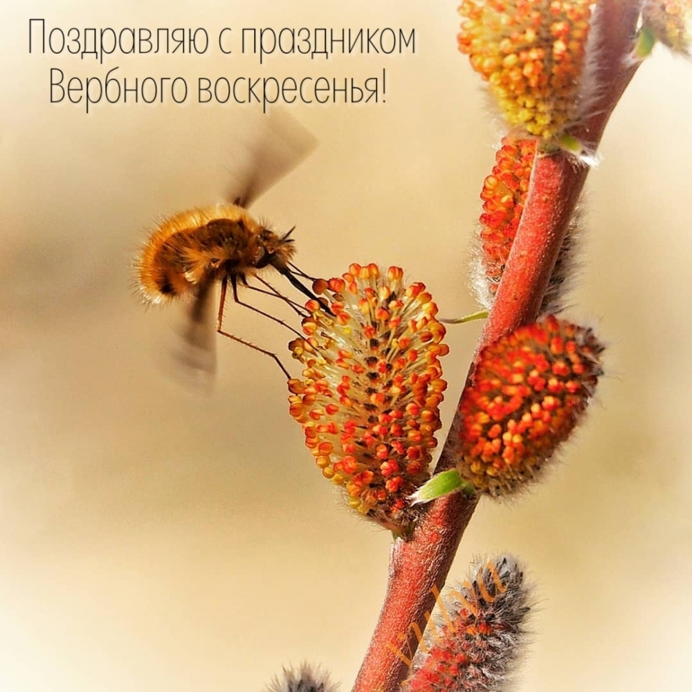     !