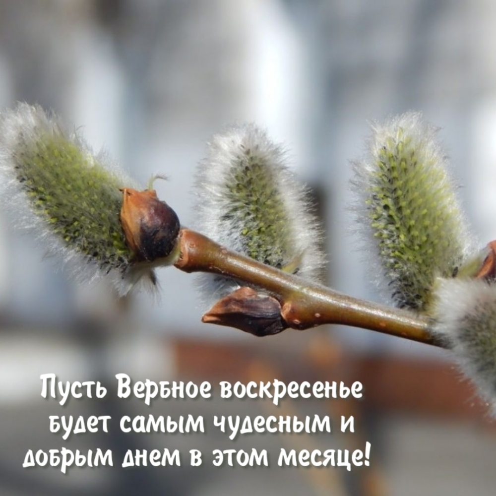  :         ! 