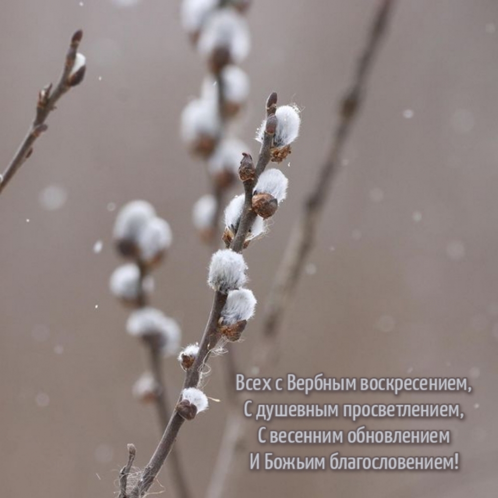 С весенним обновлением и Божьим благословением!