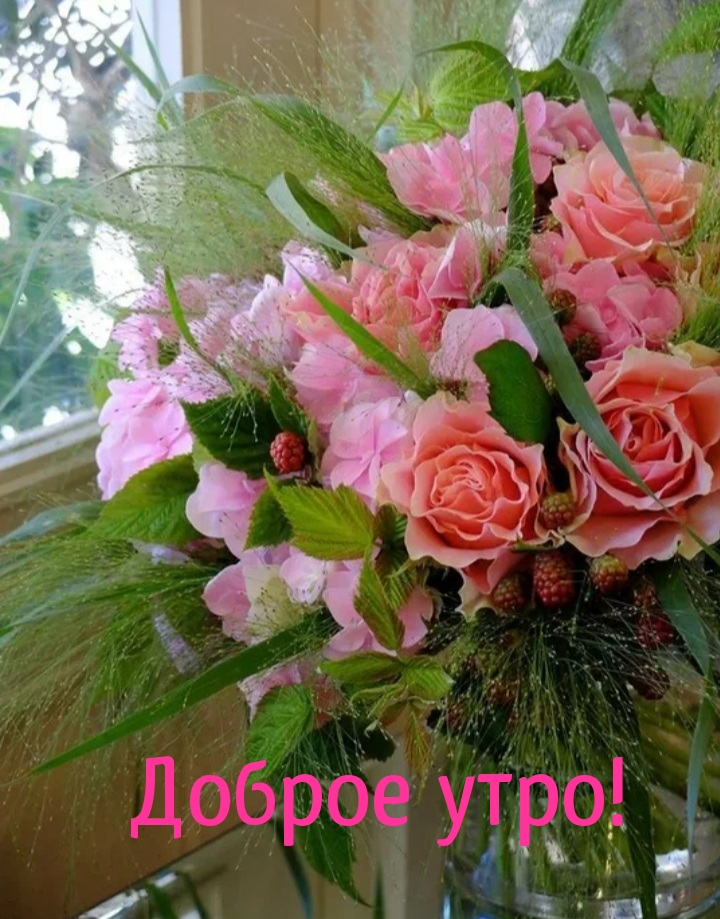 Доброе утро!.