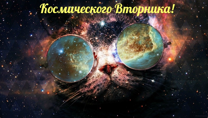   :  !