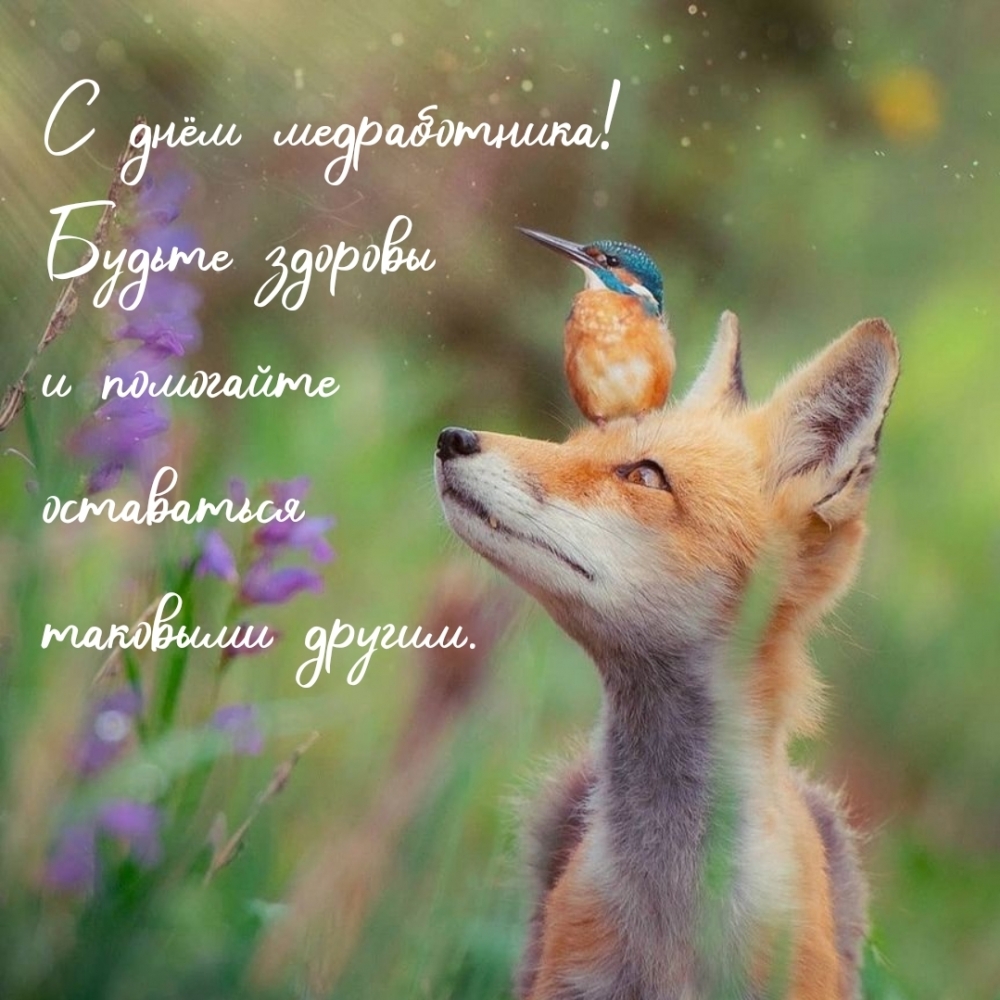 С днём медработника! Будьте здоровы и помогайте оставаться таковыми другим.