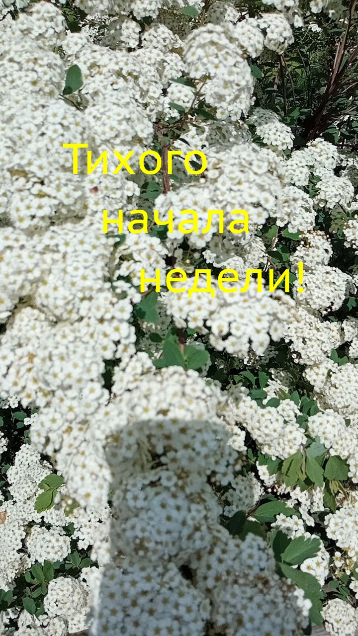   :   !