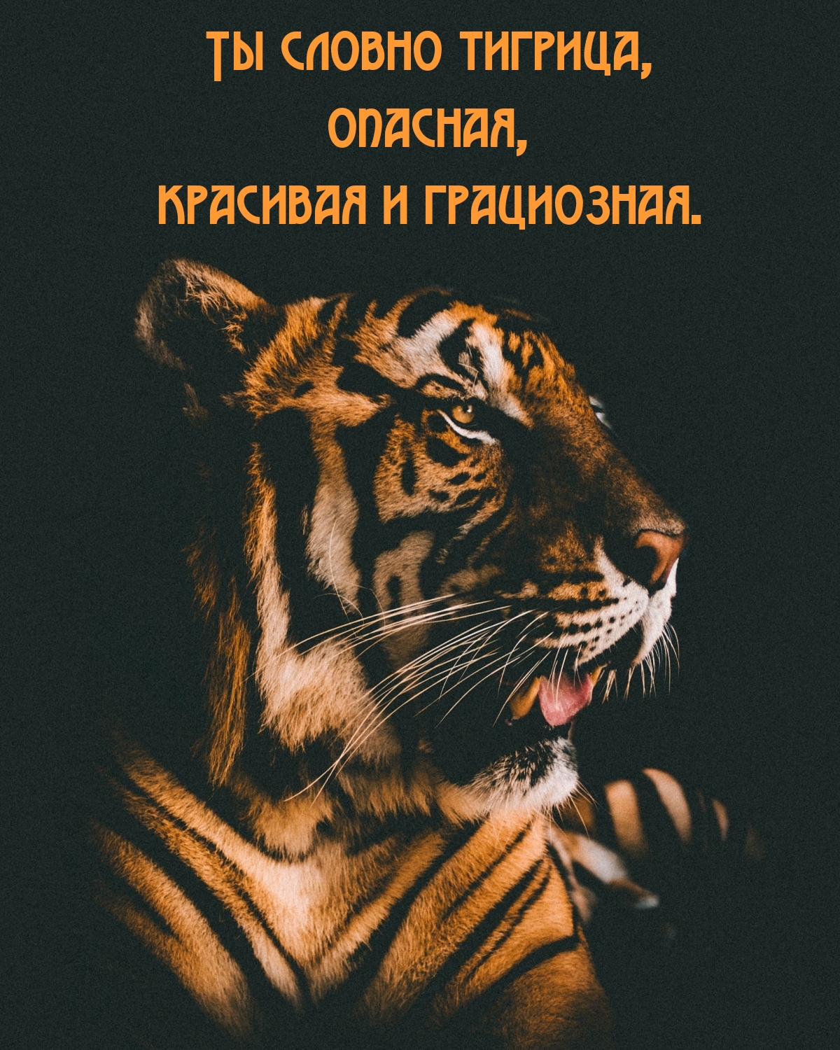   , ,   .