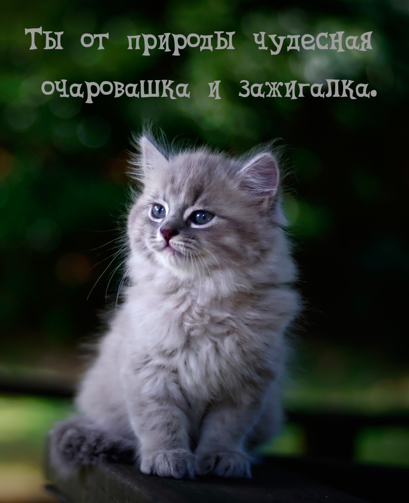   :       .