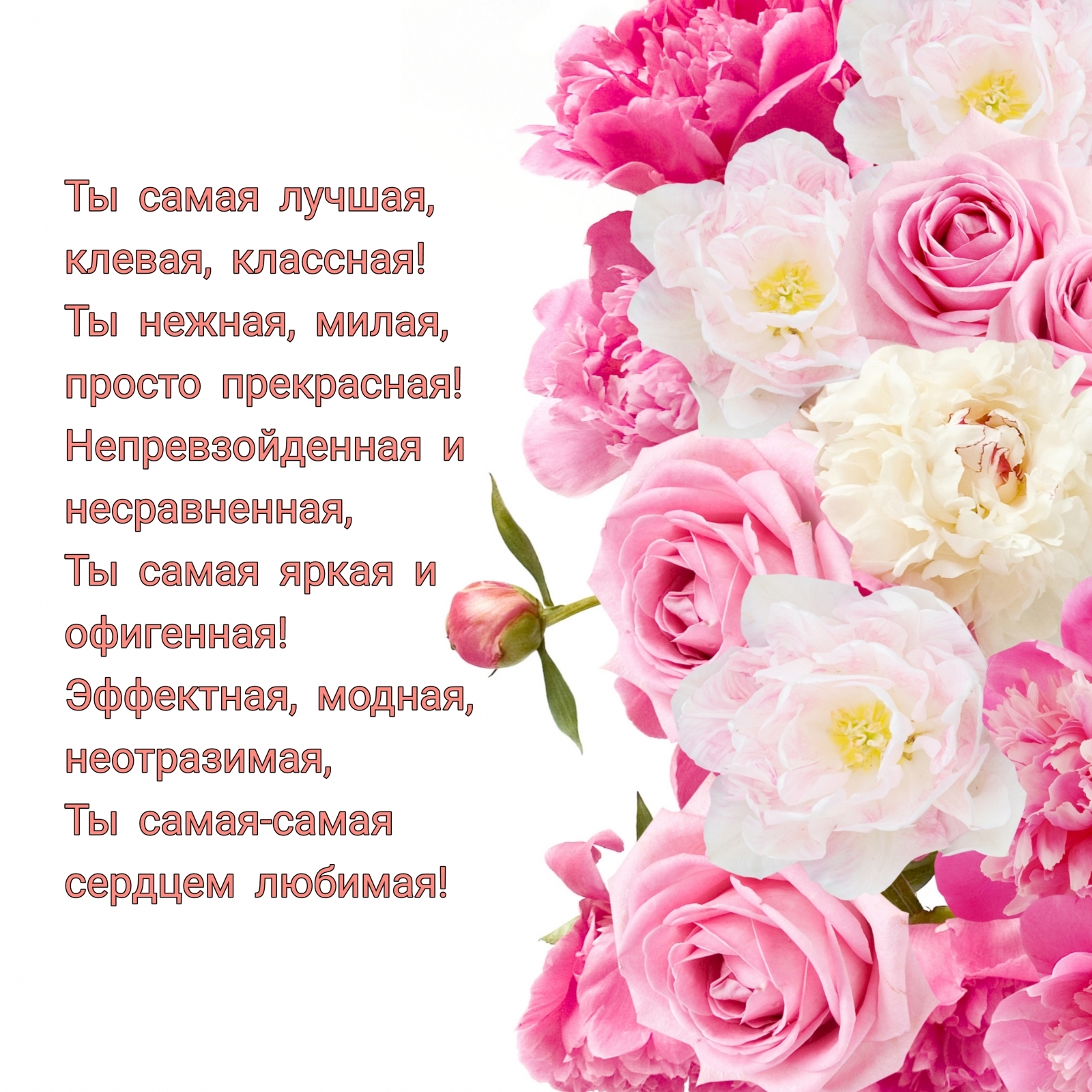   :   , , , , 