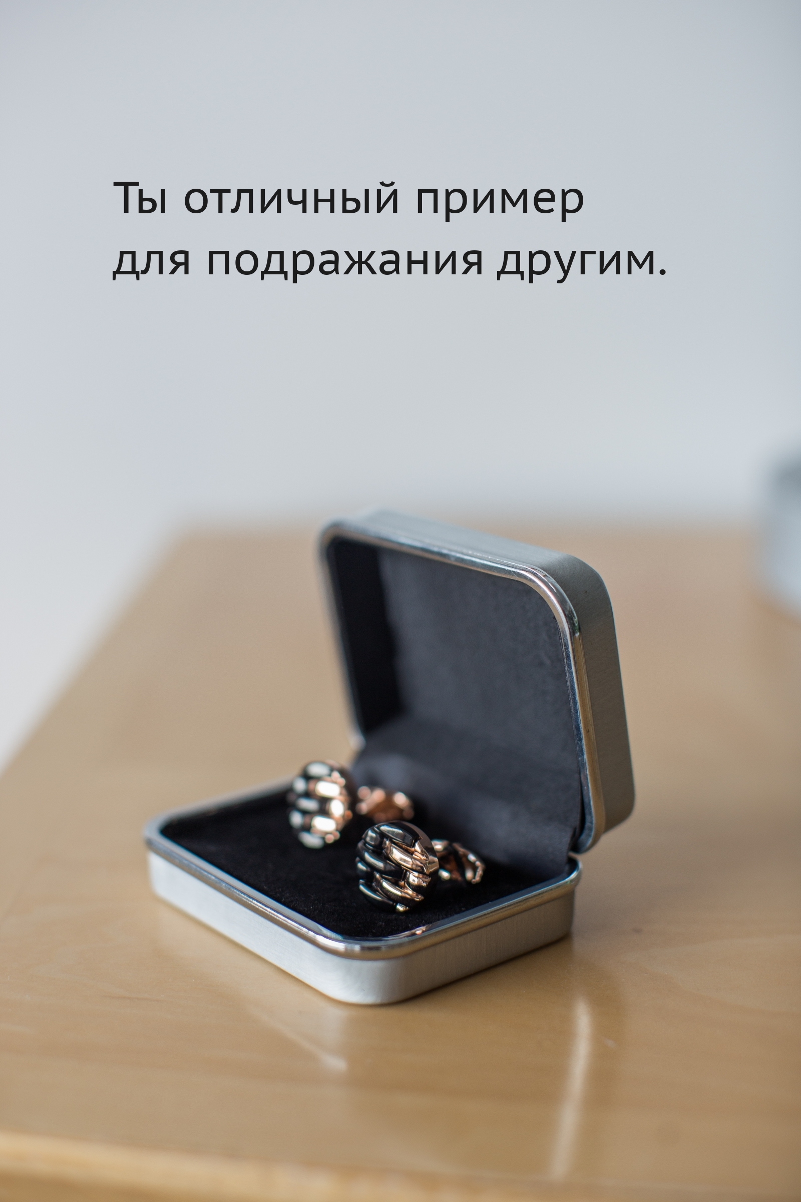 Ты отличный пример для подражания другим.