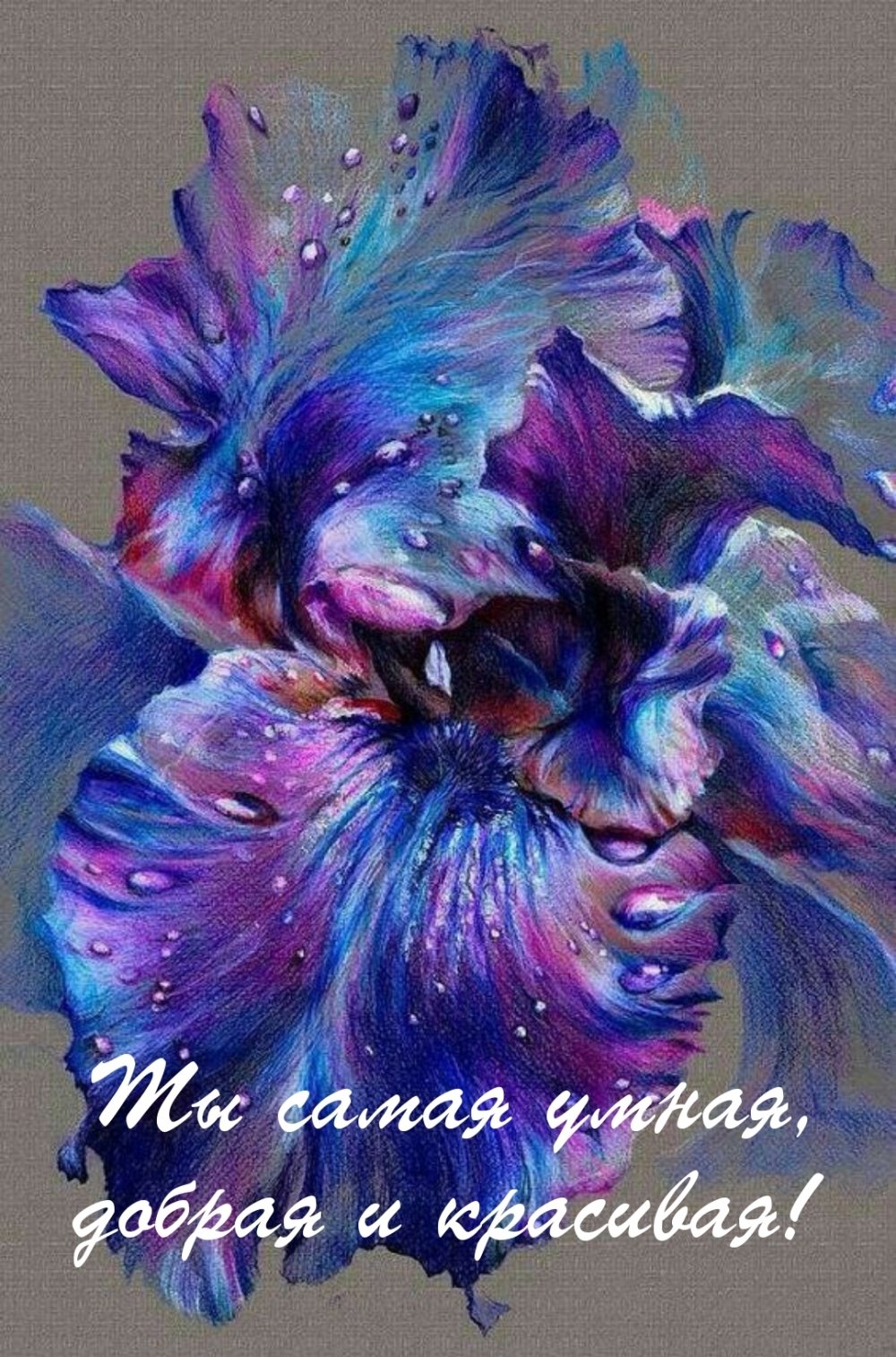   :   ,   !