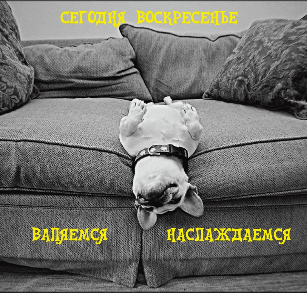 Сегодня воскресенье Валяемся Наслаждаемся