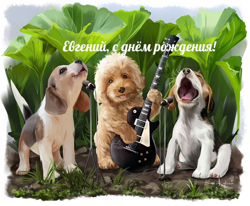 �������� � ��������: �������, � ���� ��������!