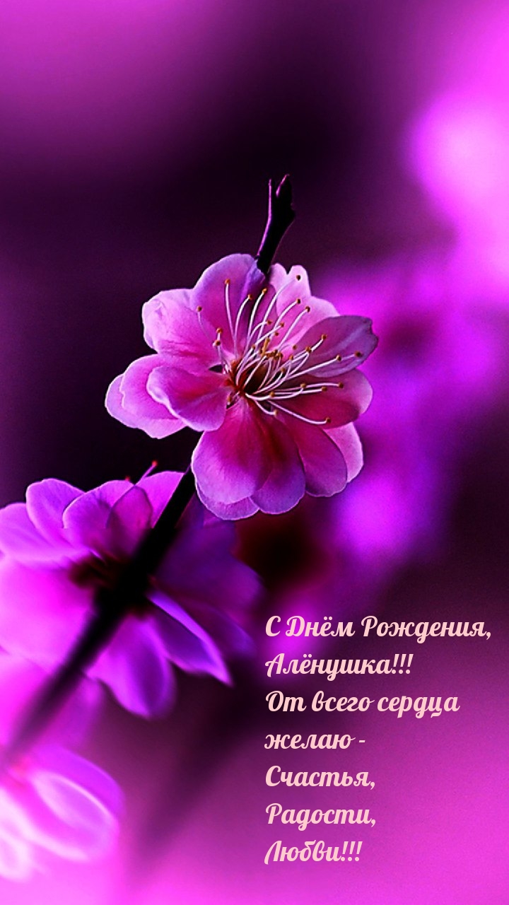  , !  -  , , !.