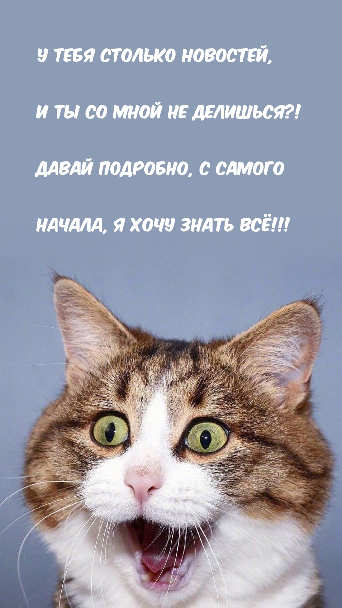   :    ,      ?! 