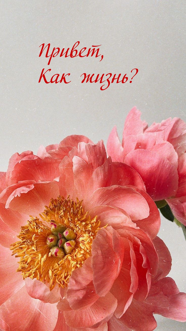 Привет, Как жизнь?