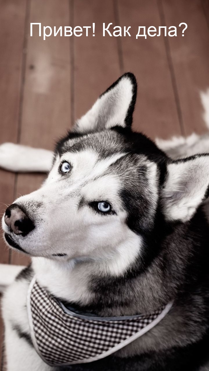   : !  ?