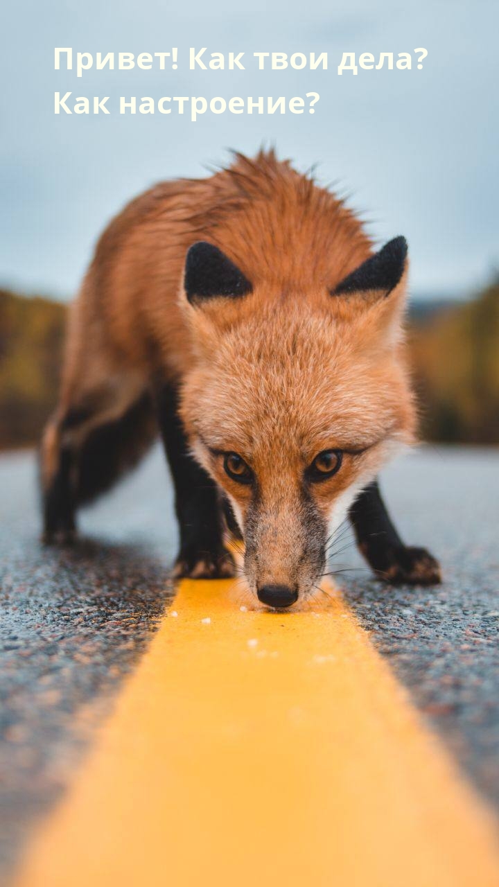   : !   ?  ?