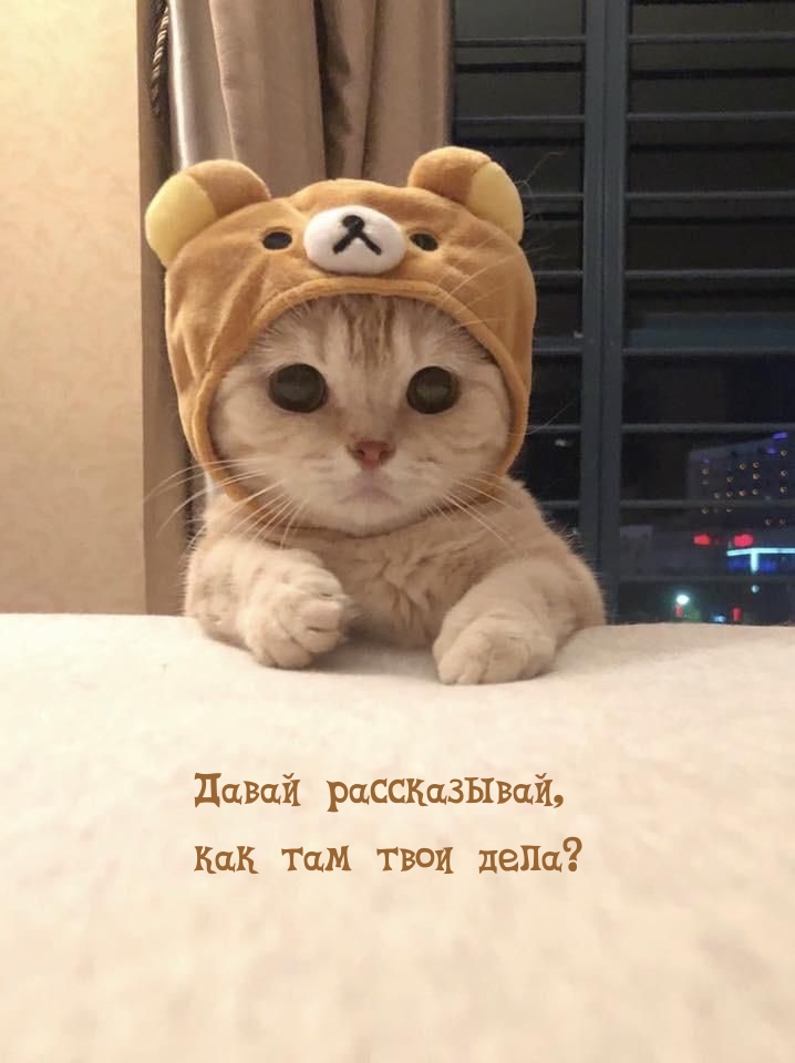   :  ,    ?