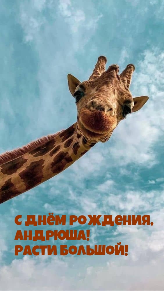 С днём рождения, Андрюша! Расти большой!.