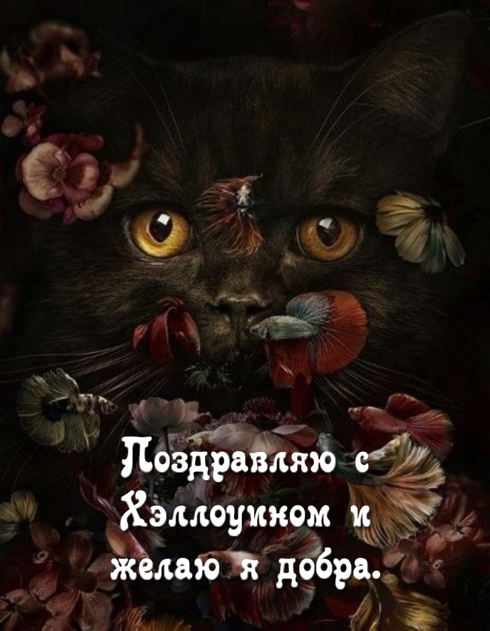   :       .
