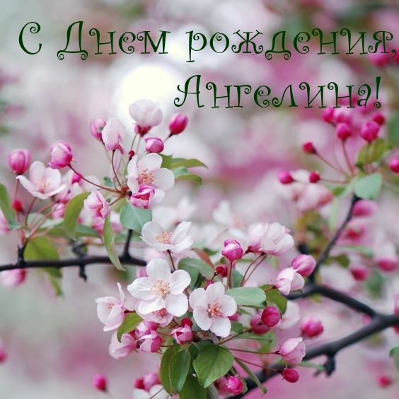   , !.