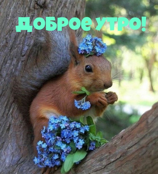Доброе утро!.