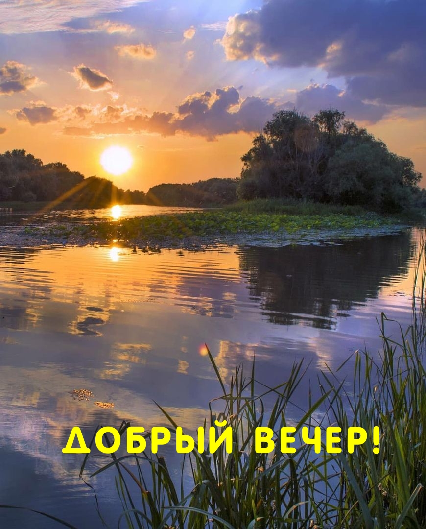 Добрый вечер!