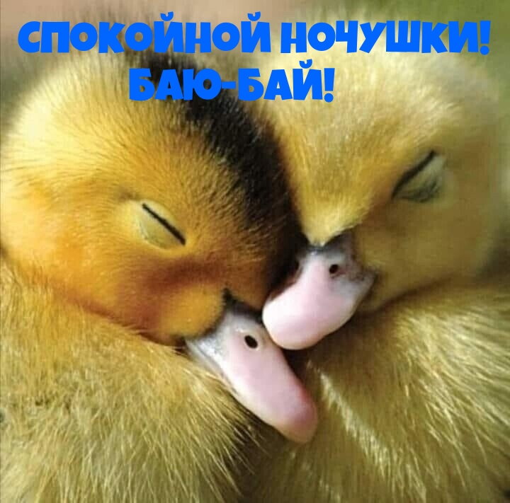   :  ! -!
