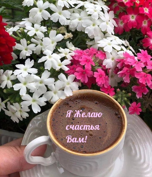 Я желаю счастья Вам!.