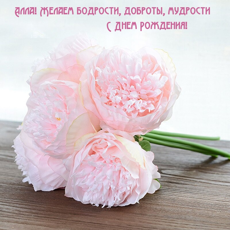 Алла! Желаем бодрости, доброты, мудрости С Днем Рождения!