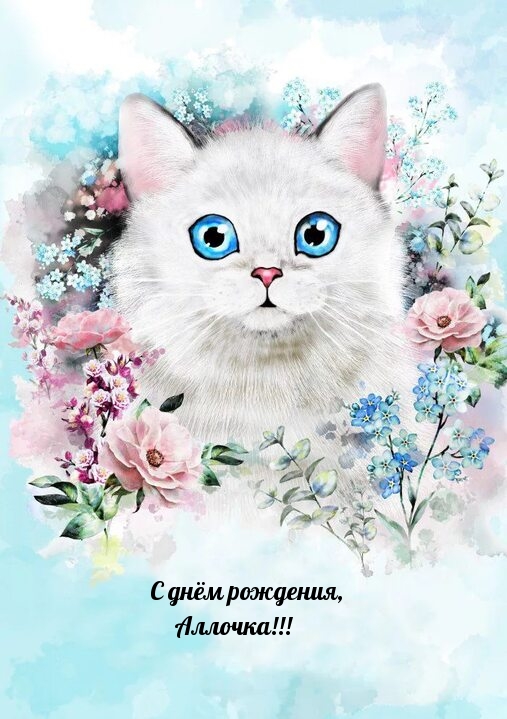   , !.