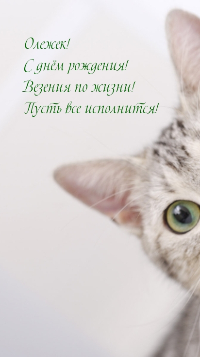 !   !   !.