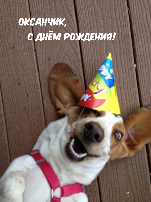 ,   !.