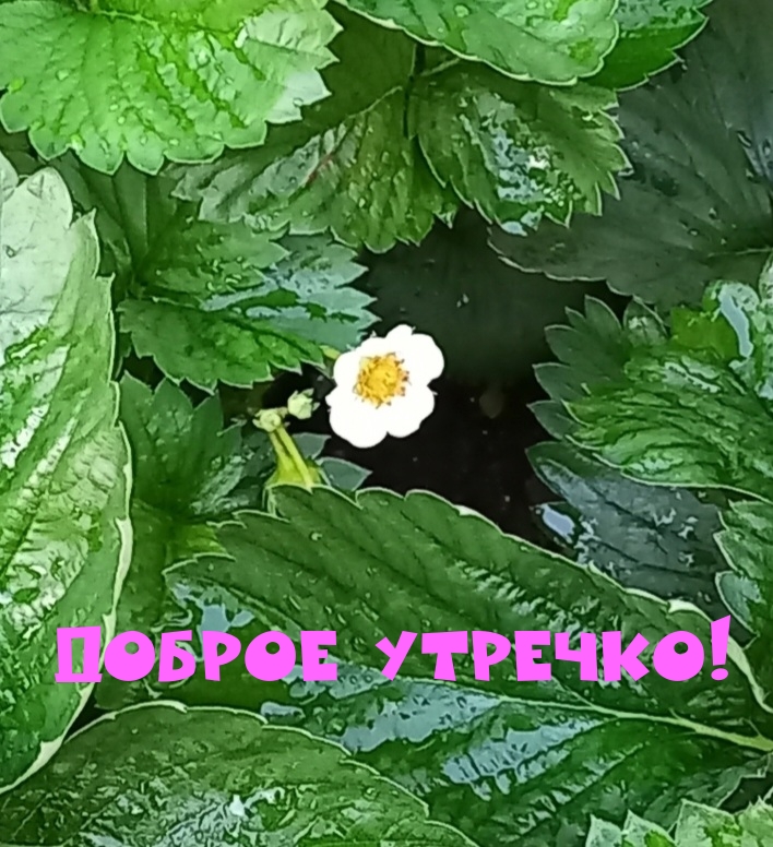  !.