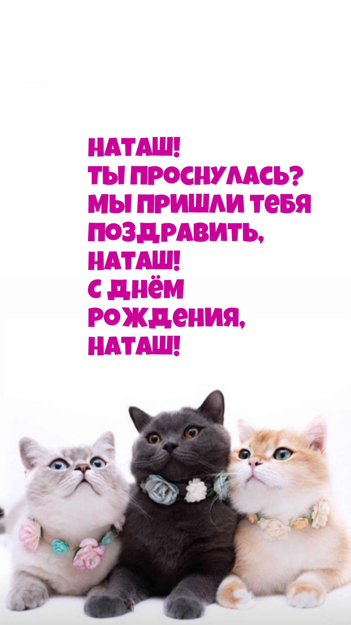 !  ?    , ! 